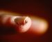persons mouth in close up photography