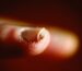 persons mouth in close up photography